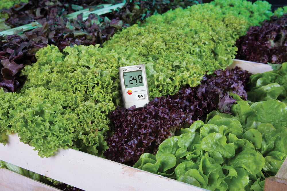 testo 174T Set - Mini-Datenlogger für Temperatur im Set