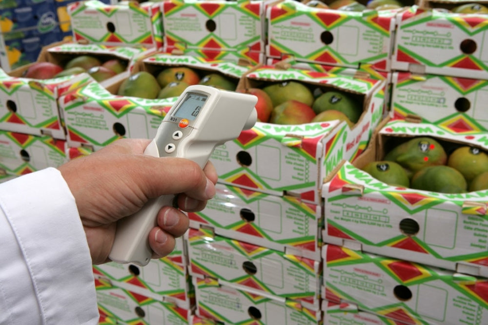 testo 831 - Infrarot-Thermometer